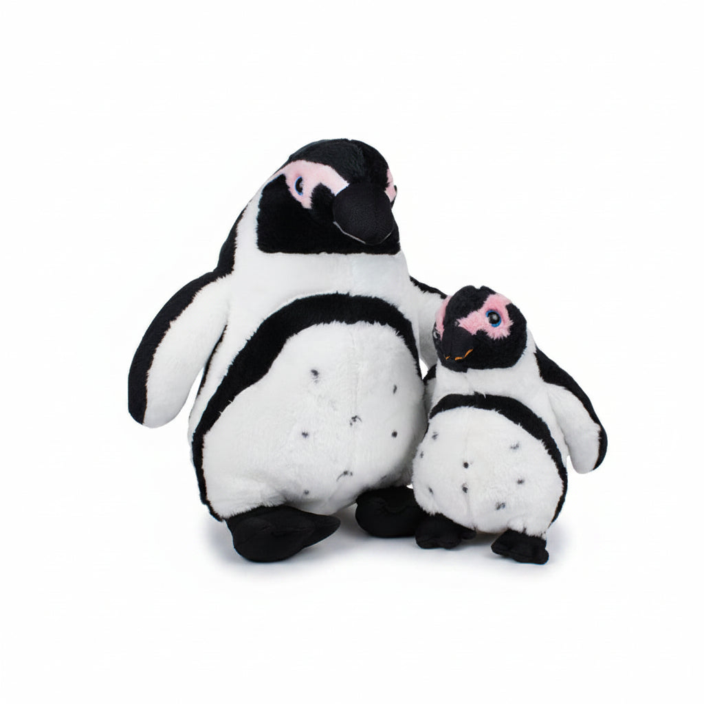 Fluffy African Penguin