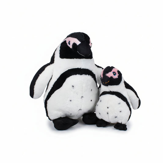 Fluffy African Penguin